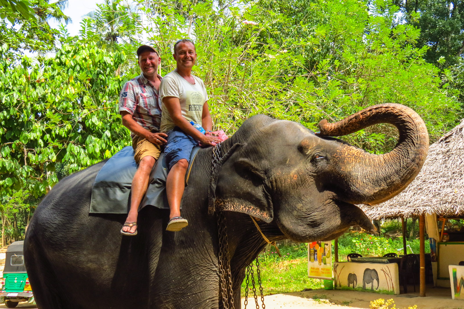 Journey into the Wild 3